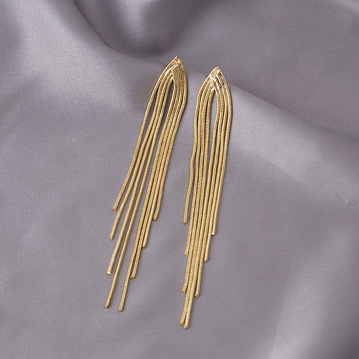 Chain Long Tassel Earrings