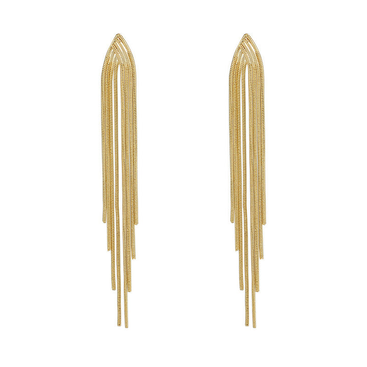 Chain Long Tassel Earrings