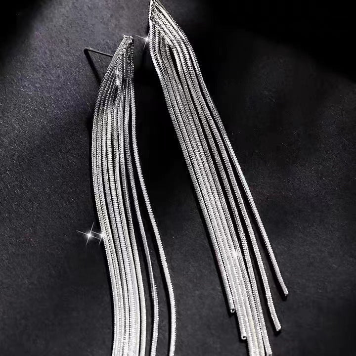 Chain Long Tassel Earrings