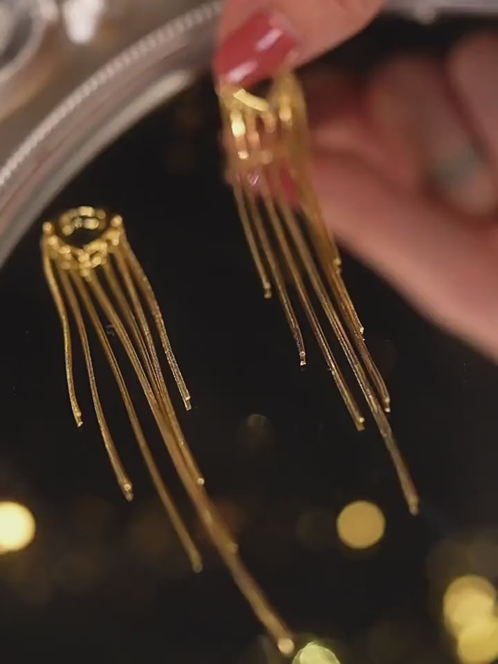 Long Tassel Earrings