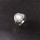 S925 Sterling Silver Pinctada Albina Ring