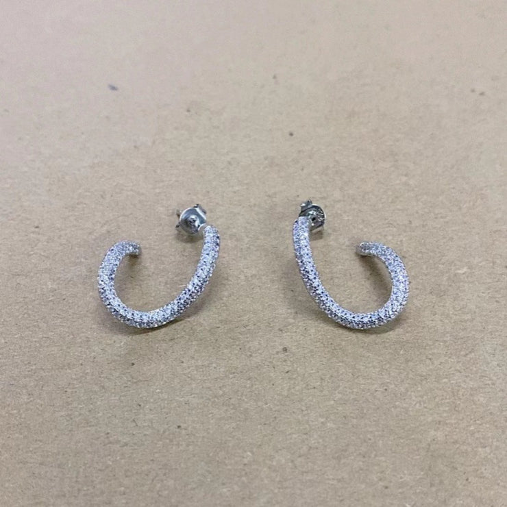 Zircon Curved Curve Earrings