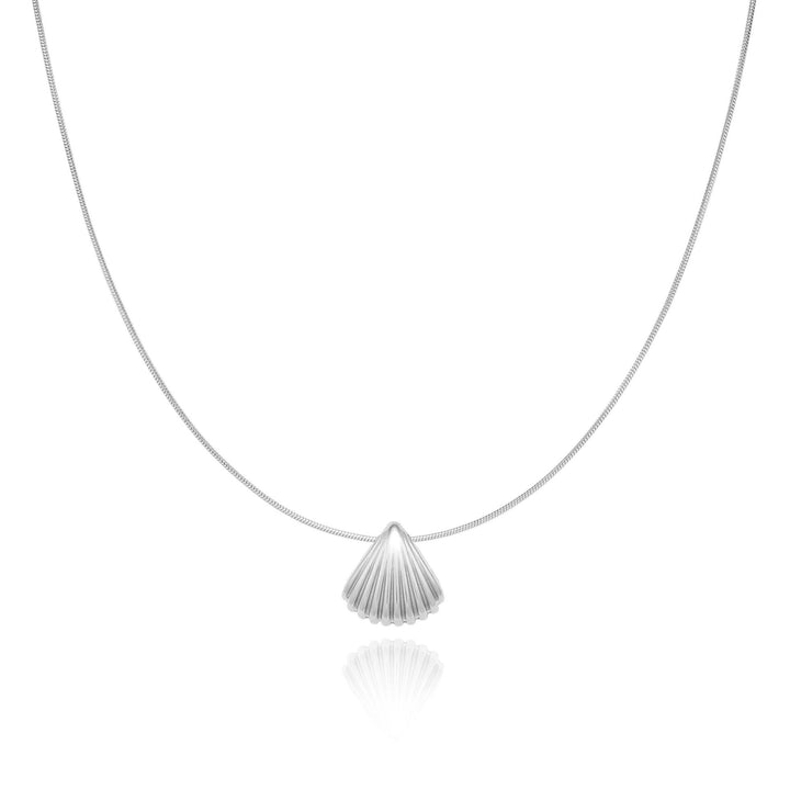 Scalloped Shell Necklace