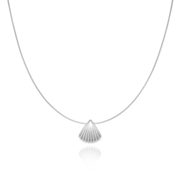 Scalloped Shell Necklace