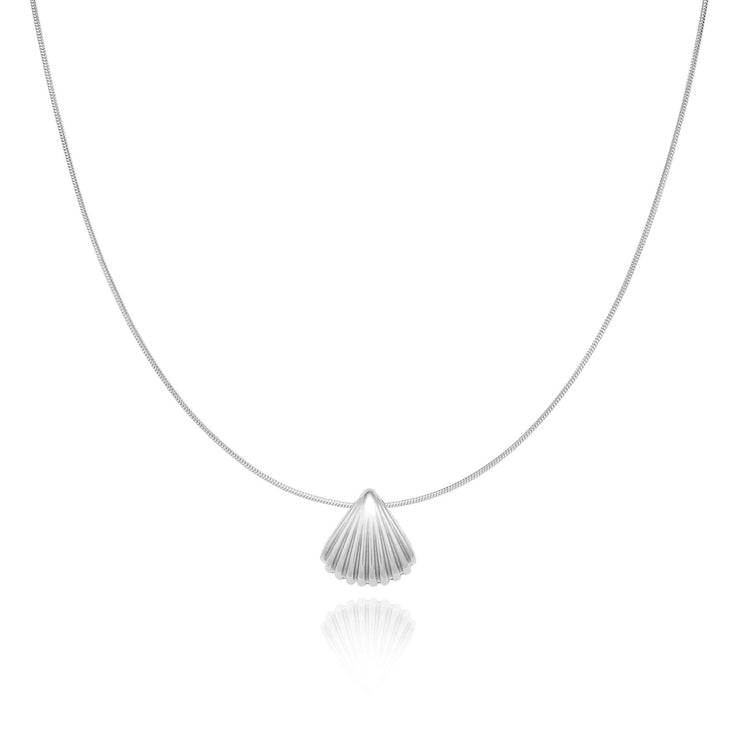 Scalloped Shell Necklace