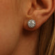 Halo Moissanite Stud Earrings