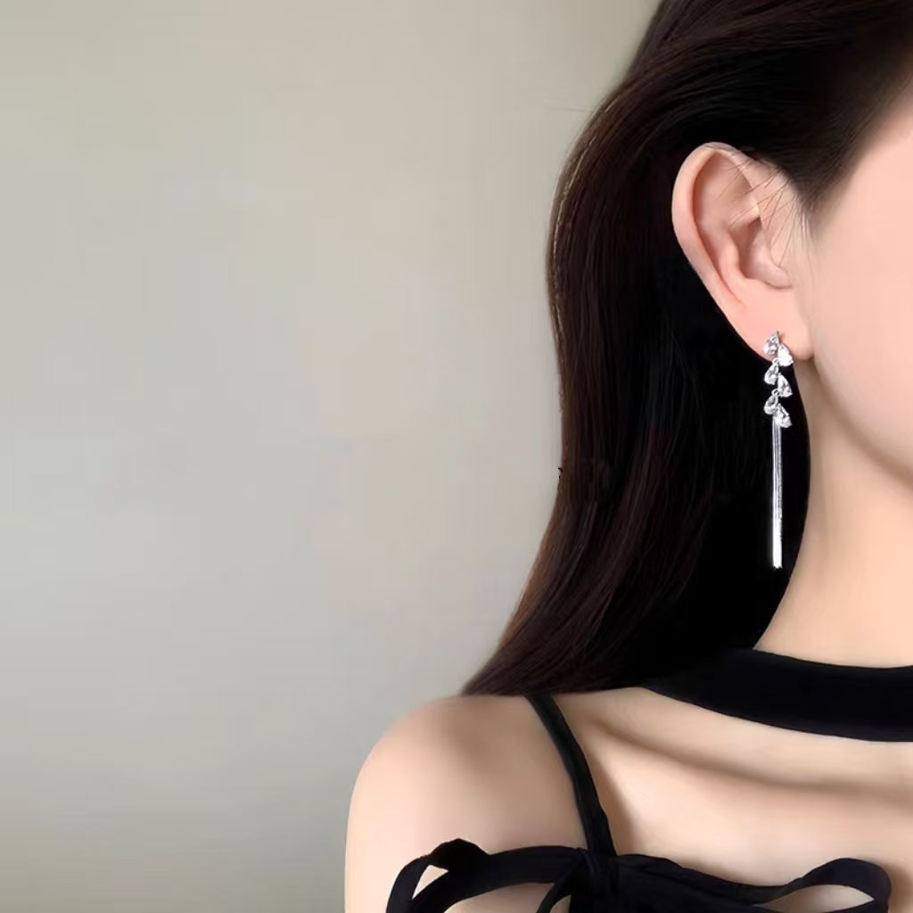 Teardrop Tassel Long Earrings