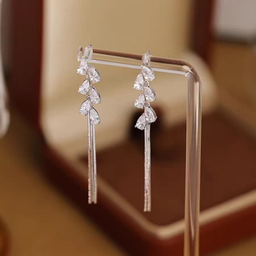 Teardrop Tassel Long Earrings