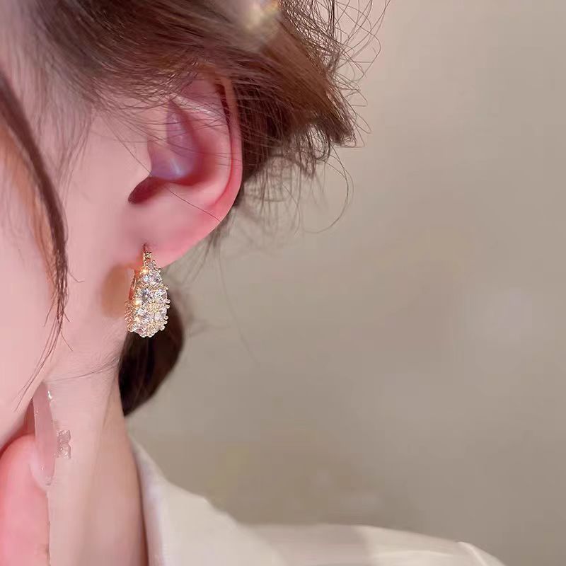 Luxury Paved Zircon Hoop Earrings