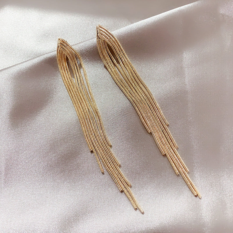 Chain Long Tassel Earrings