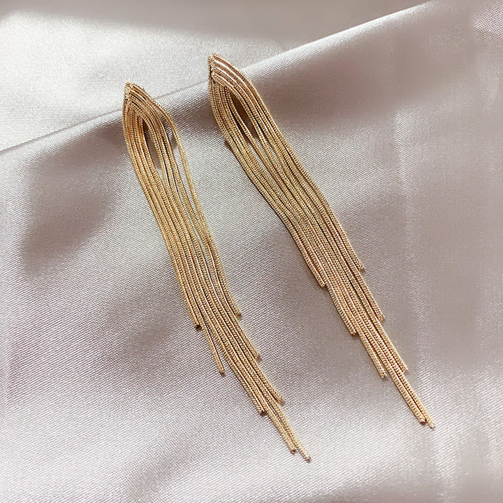 Chain Long Tassel Earrings