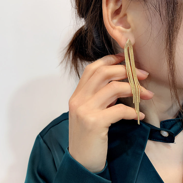 Chain Long Tassel Earrings