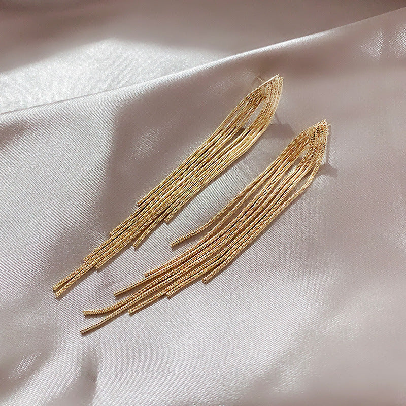 Chain Long Tassel Earrings