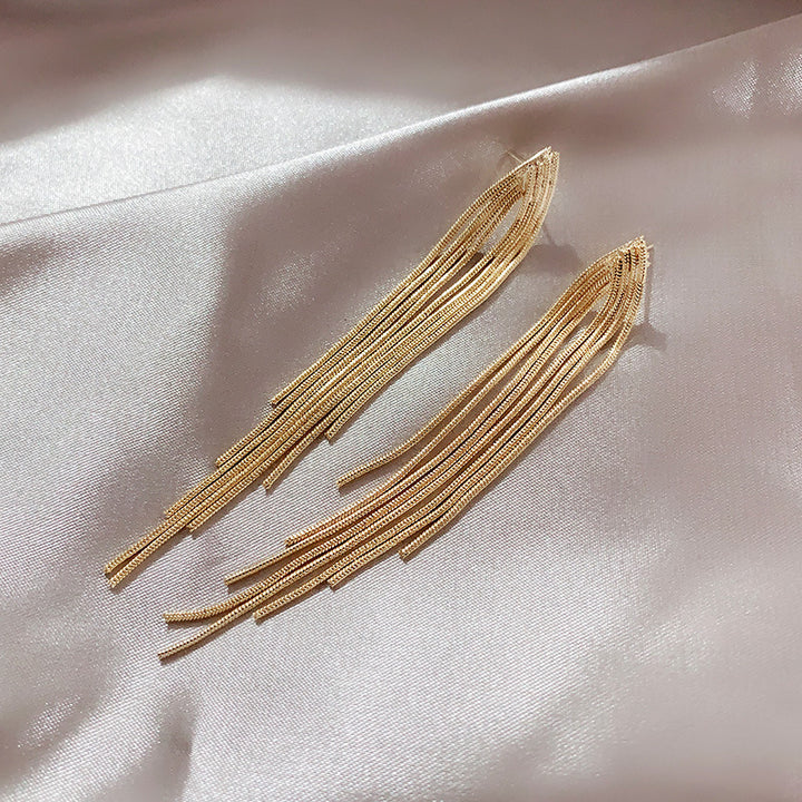 Chain Long Tassel Earrings