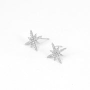 Moissanite 925 Silver Six Pointed Star Stud Earrings