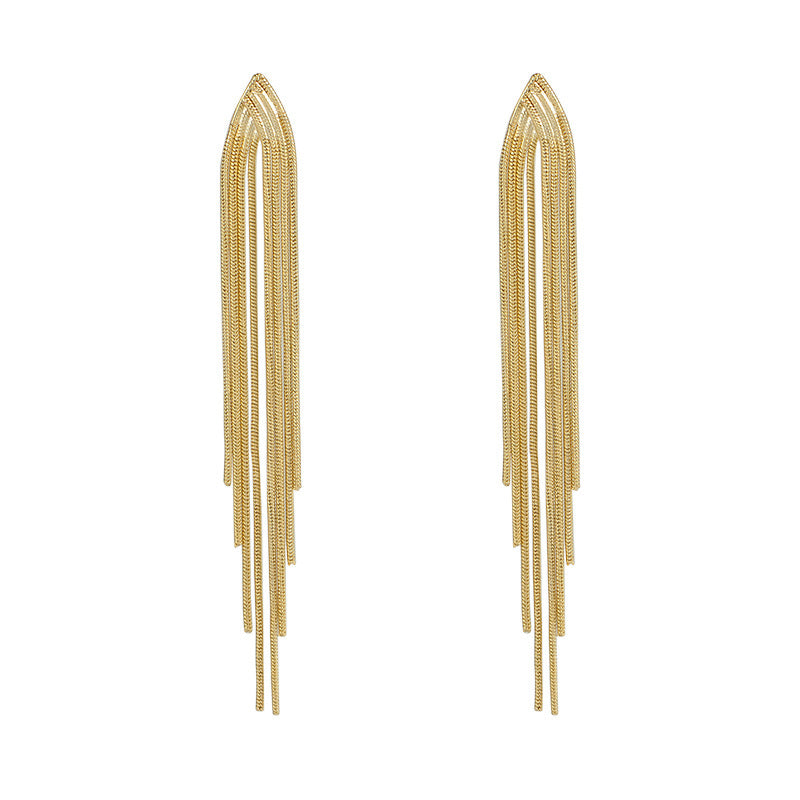 Chain Long Tassel Earrings