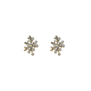 Coral Branch & Pearl Earrings